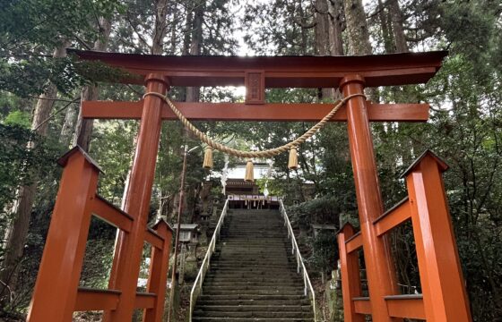 祇園神社の大鳥居の写真